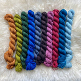 Mystery Mini Skein Packs