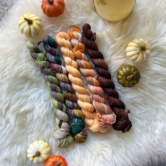 Pumpkin Harvest Mini Skein Set - READY TO SHIP